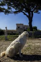Villa Castiglione 1863 - The real Sicilian holiday - Ferienwohnung