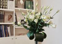 Bed and Breakfast For You - Ferienwohnung Bussolengo