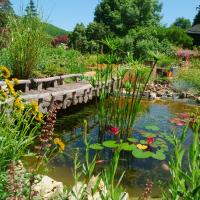 Le tilleul à fleurs - B&B Dégagnac