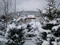 Domek Górski Strumień - B&B Stronie Śląskie