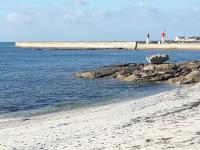 B&B Guilvinec - appartement proche de la mer - Bed and Breakfast Guilvinec