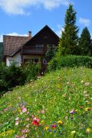 Pension Andante - B&B