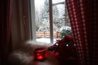 Apartamento con vistas al jardín