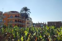 Al Gezera Apartments - Chambres d’hôtes Louxor