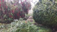 Gaivota Sun - B&B