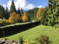 Alpine Blue Apartments - Bed and Breakfast Griesen