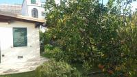 Villa François - B&B Torre Annunziata