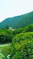 Discover Kinchkha - B&B