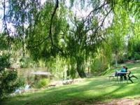 Mount Buffalo Room