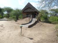 Roika Tarangire Tented Lodge