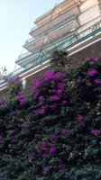 Giulia & Giovanna Apartments - B&B