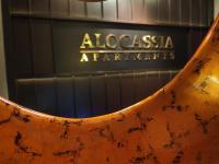 Alocassia Serviced Apartments