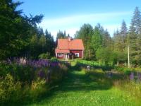 Skogslyckan - B&B