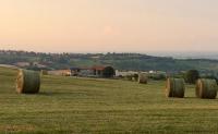 B&B Tenuta il Galletto - Ferienwohnung Casale Monferrato