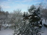 L'Orée du Parc à Belfort - B&B
