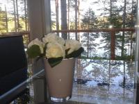 Casa de campo con 1 dormitorio y sauna