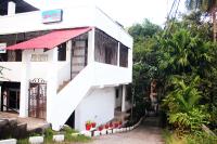 The Lotus Home - B&B