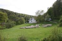 B&B Egloffstein - B&B Arlesbrunnen - Bed and Breakfast Egloffstein