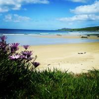 Kaka Point Spa Accommodation - Catlins - Ferienwohnung