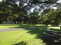 Greytown Campground, Dovolenkové parky - Greytown