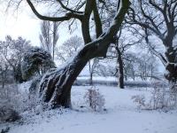 White House Farm Cottages - Chambres d’hôtes