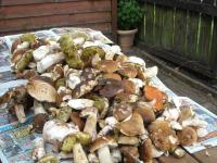 Habitación Doble - 2 camas