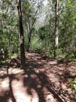 Paradise Forest Garden - Ferienwohnung