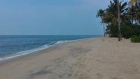 Marari Secret Beach Yoga & Kalarippayattu Homestay - Ferienwohnung Mararikulam