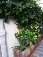 Bilocale Pascoli - B&B