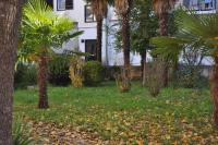 Apartment Dragica 2 - B&B Parenzo