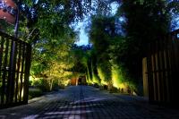 Safari Lodge Yala - B&B