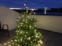 Appartamento con Terrazza (4 Persone)