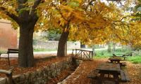 Los Lilos - B&B
