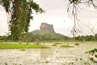 Camera Matrimoniale Deluxe