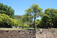Tapada De Sao Domingos - B&B