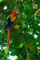 Casa Drake Lodge - Chambres d’hôtes Drake