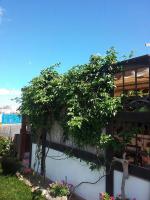 Casa Rural SoleaRio - Chambres d’hôtes La Oliva