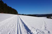 Apartamento de 3 dormitorios