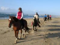 Old Fort Lodge - Ferienwohnung Sligo