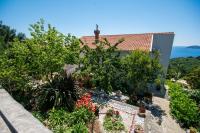 Apartments Nautilus Orašac - Ferienwohnung Orašac