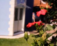 Suite Queen D'Arte - B&B