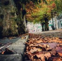 Loft "Parking" "Elegante" Lila - Ferienwohnung Ubrique