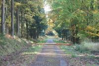 Les Chanterelles - B&B Jalhay