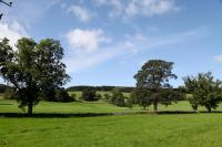 Double Room with Four Poster Bed - Ground Floor