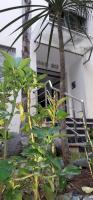 Horizon Garden Home - B&B