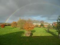 Suite with Garden View