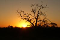 Weltevreden Country Guest Lodge - B&B