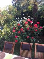 Luxury Apartment with private pool and 2 bedrooms in Villa Opatija Bay View - Ferienwohnung
