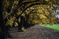 חווה של דני - B&B Beit Hillel