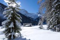 Alpengasthof Gern Alm - Ferienwohnung